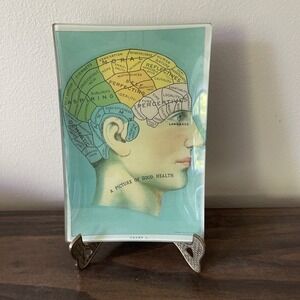 John Derian PHRENOLOGY Platter Dish Tray Brain Good Health Glass 6"x8.5"‎ Doctor
